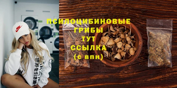 ECSTASY Верхний Тагил