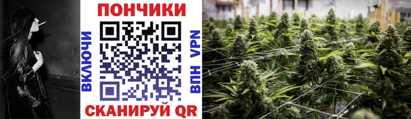 Купить закладки  Торжок  Бошки Шишки конопля 